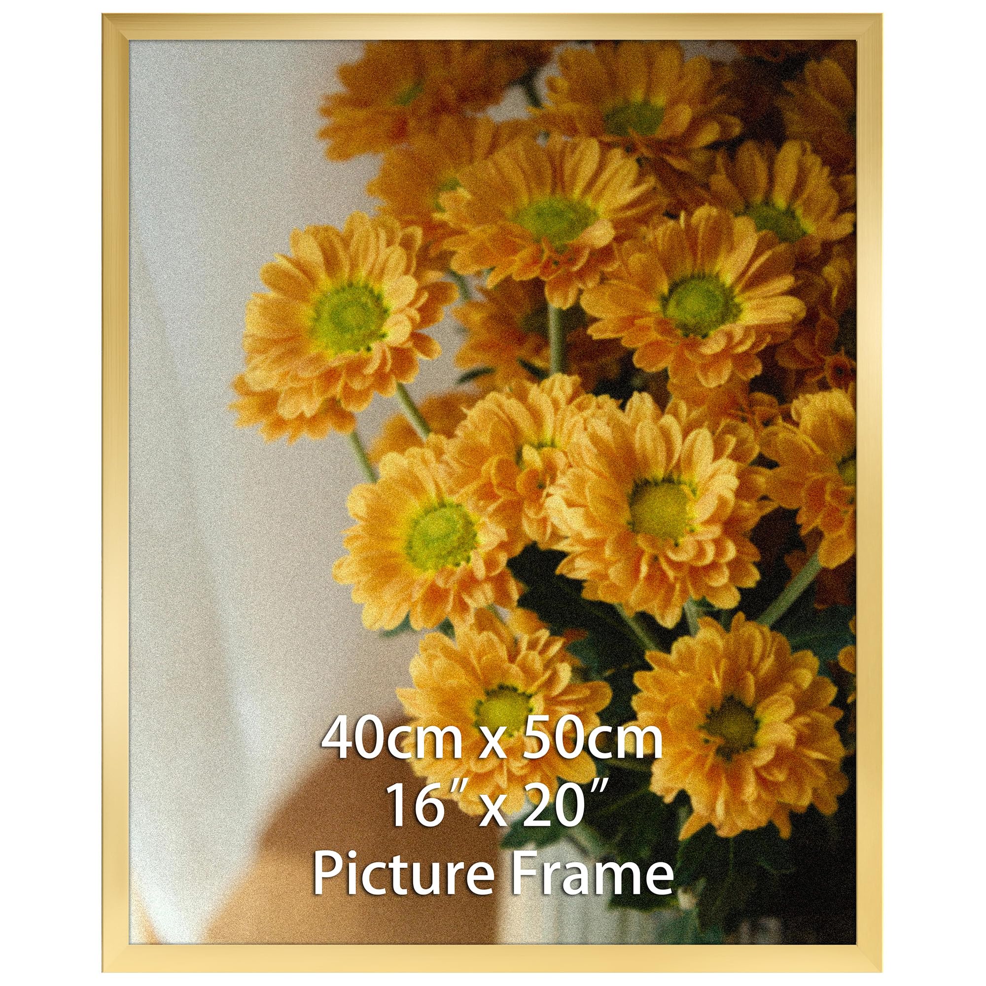 Vasemouh 40x50 cm Picture Frame Gold, Single 16x20 Inch Poster Frame Horizontal or Vertical Wall Mounting for Home, Office, Gallery โ image 1