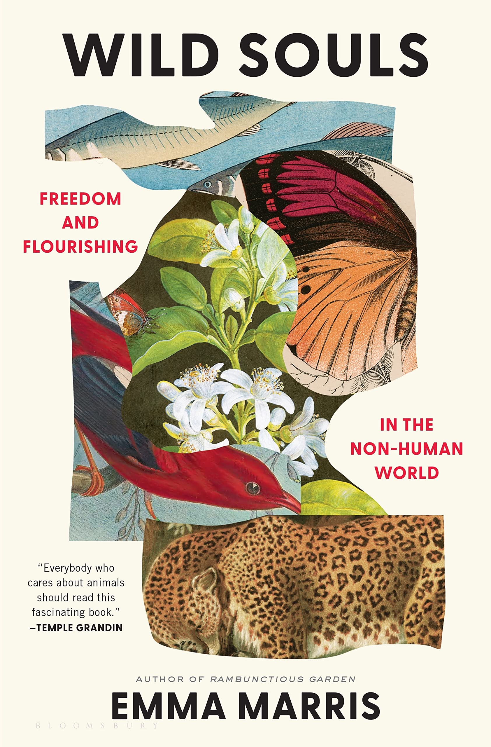 Wild Souls: Freedom and Flourishing in the Non-Human  by Emma Marris HARDBACK