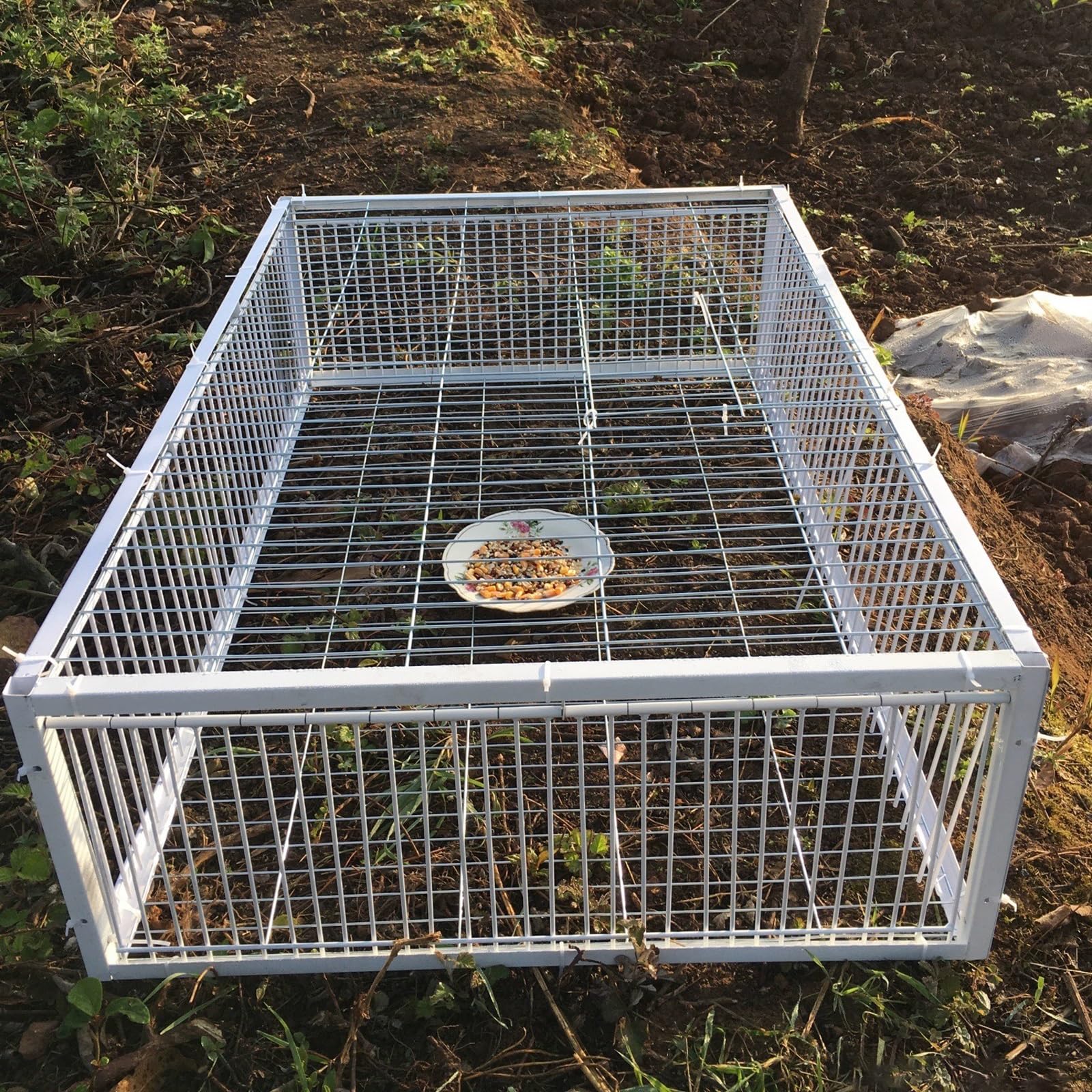 Trampa para pájaros, jaula grande para palomas, palomas y loros, ideal para criar y atrapar pájaros