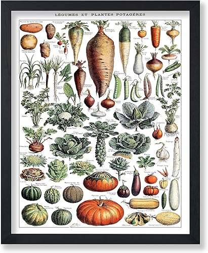 Miniatura 133 de Poster Master Póster vintage de orquídea, estampado de flores retro, arte de pared de plantas exóticas, arte botánico, regalo para hombres y