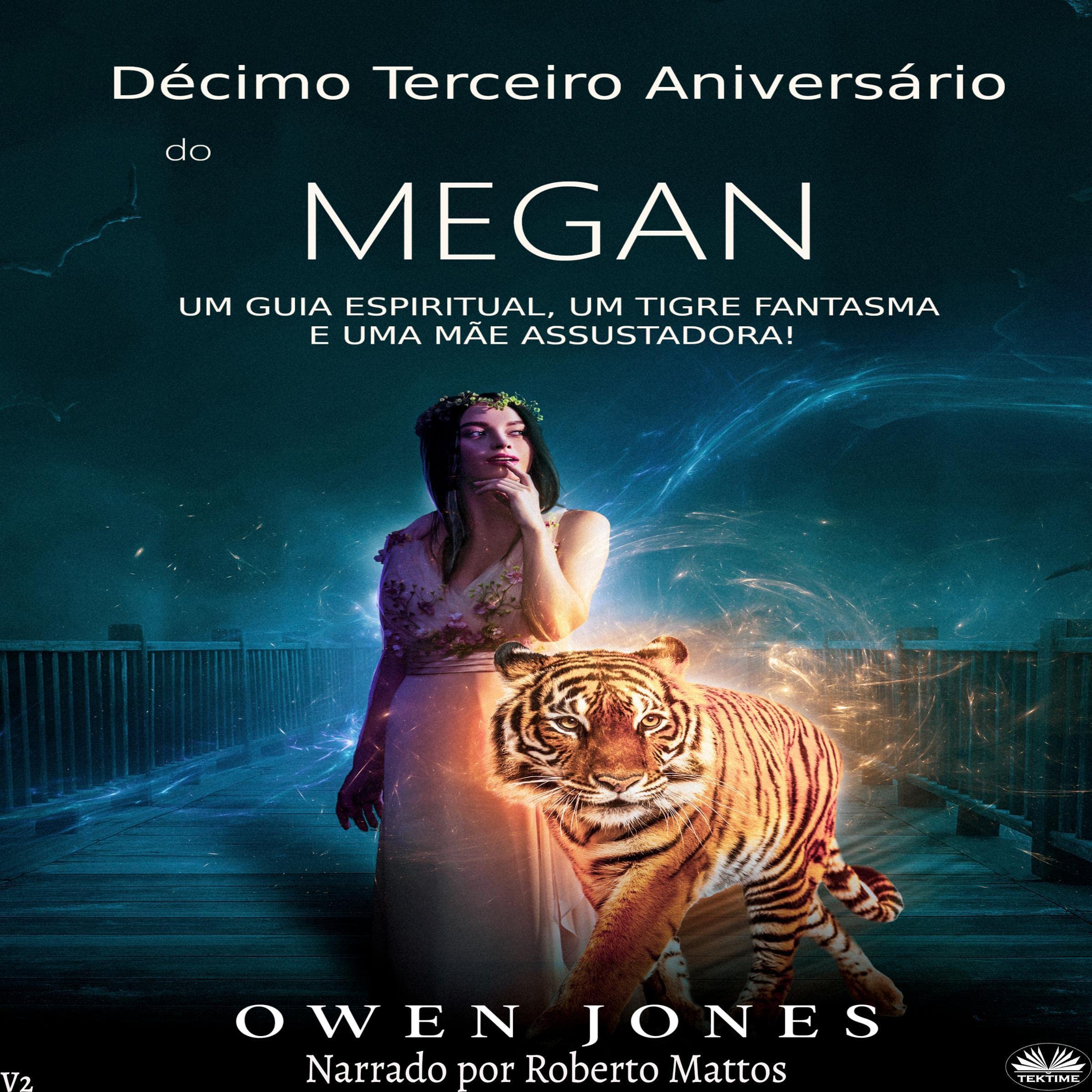 Cover art for Décimo Terceiro Aniversário de Megan
