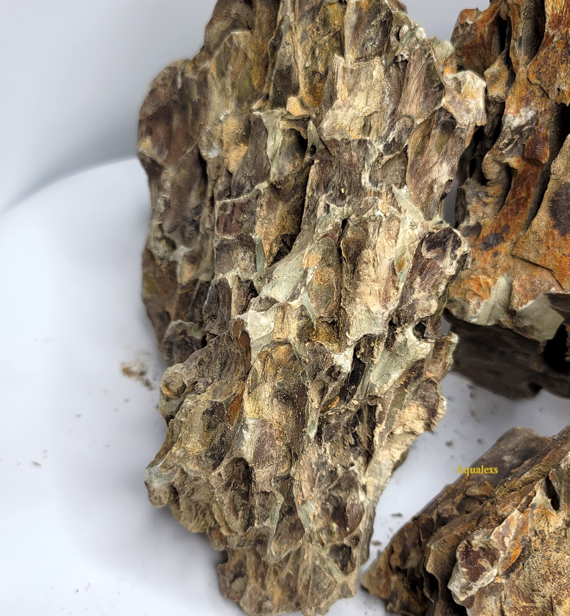 ドラゴンストーン Amazon | アクアレックス アクアリウム 王子ドラゴンストーン