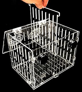 Magnetic Acclimation Breeder Box 4.5" / 8" /12" for Fish Anemone Coral Strong N52 Magnets for 1/2" Glass (8"x6"x6")