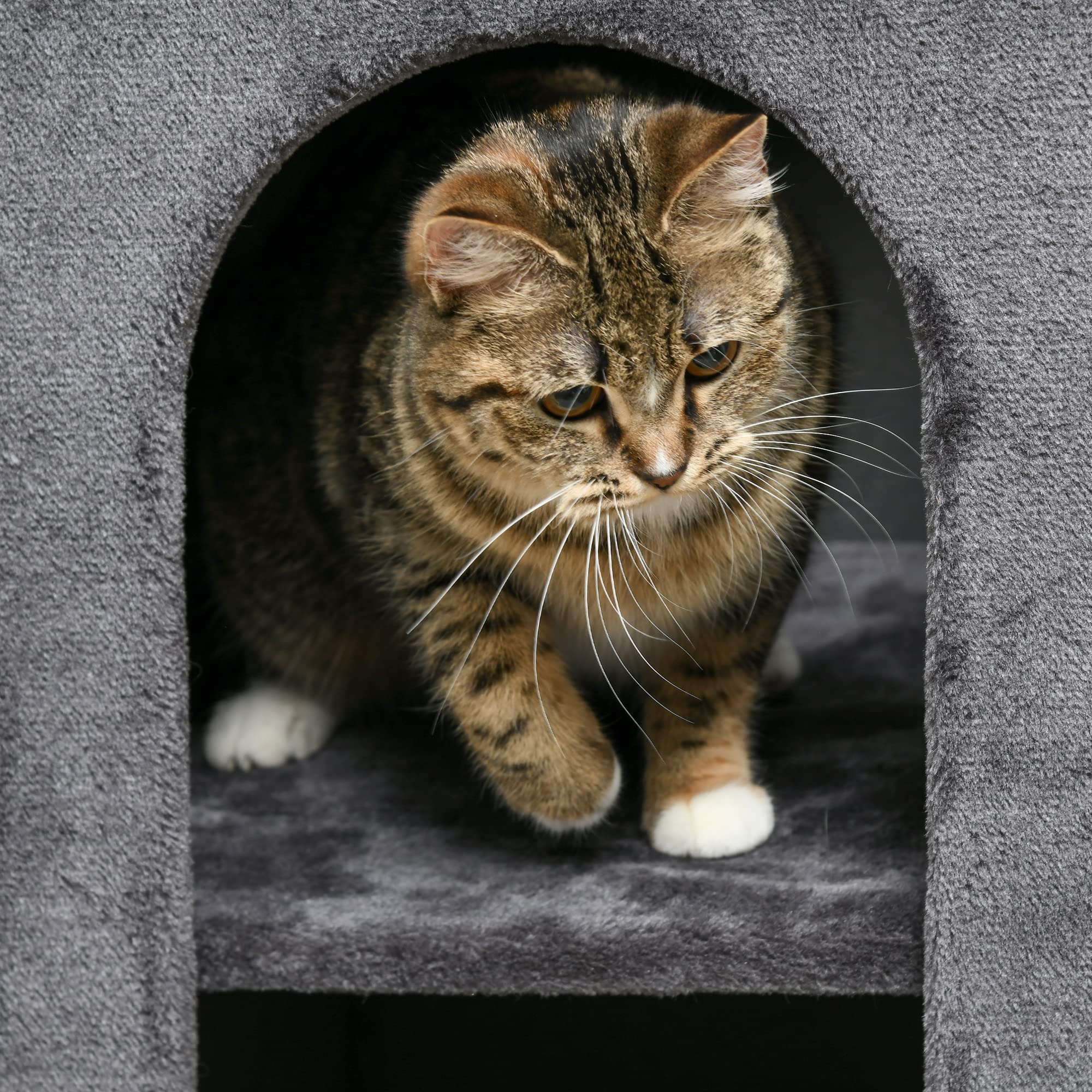 PawHut Kratztonne, 81 cm hoch Katzentonne mit 2 Höhle, Kratzbaum mit Kratzbrett, Katzenturm mit 2 Ebenen, für Katze bis 6 kg, Dunkelgrau