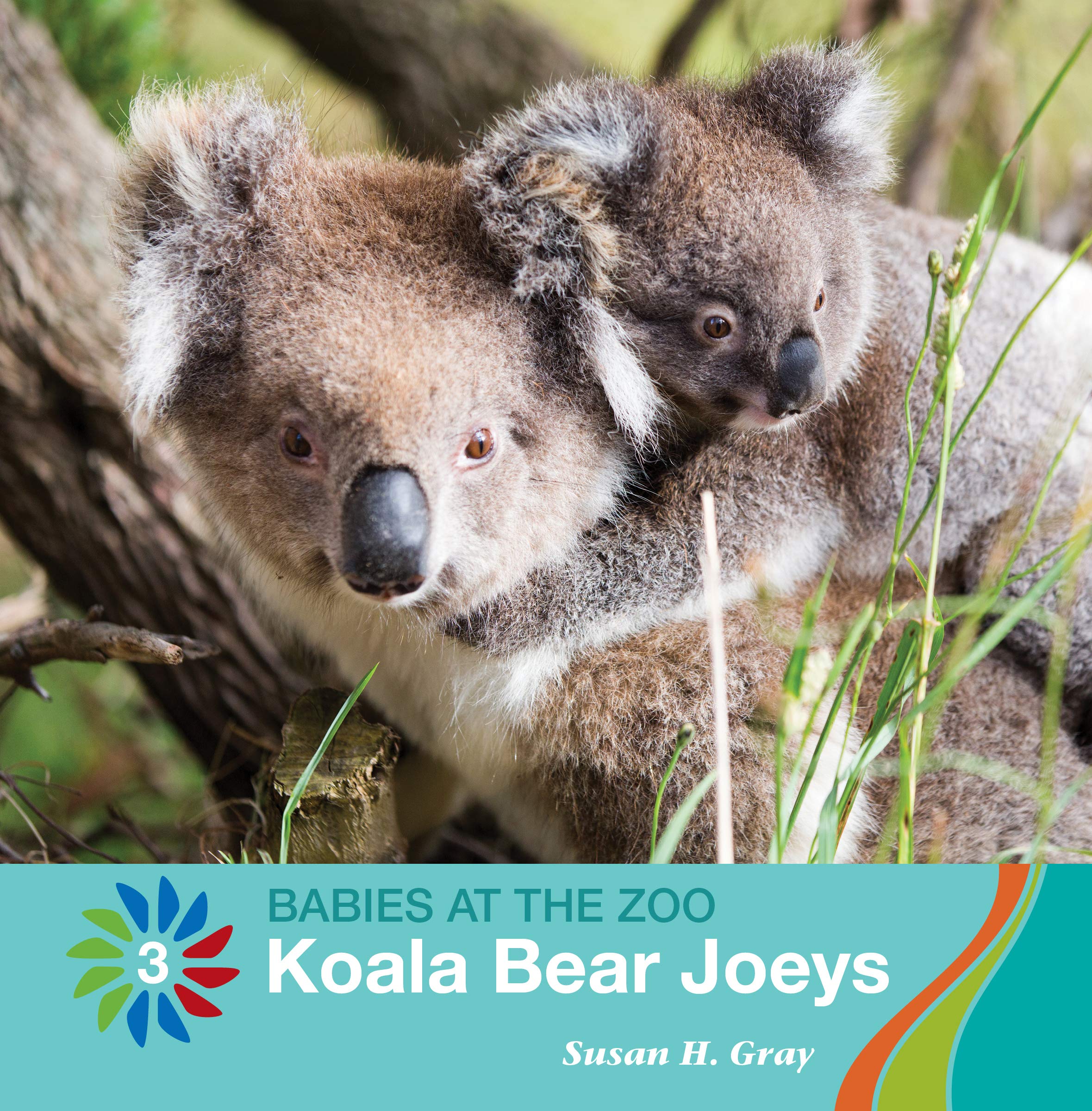 Koala Bear Joeys (21st Century Basic Skills Library: Level 3: Babies at the Zoo)