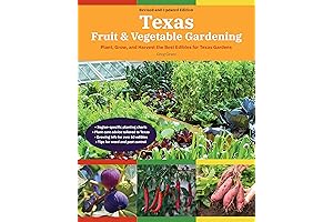 Unveiling the Secrets of Corn Cultivation: A Guide to Texas Gardening Success