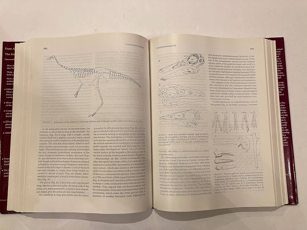 Amazon.com: Encyclopedia of Dinosaurs: 9780122268106: Currie