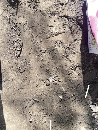 Review Image by MamaGrocks