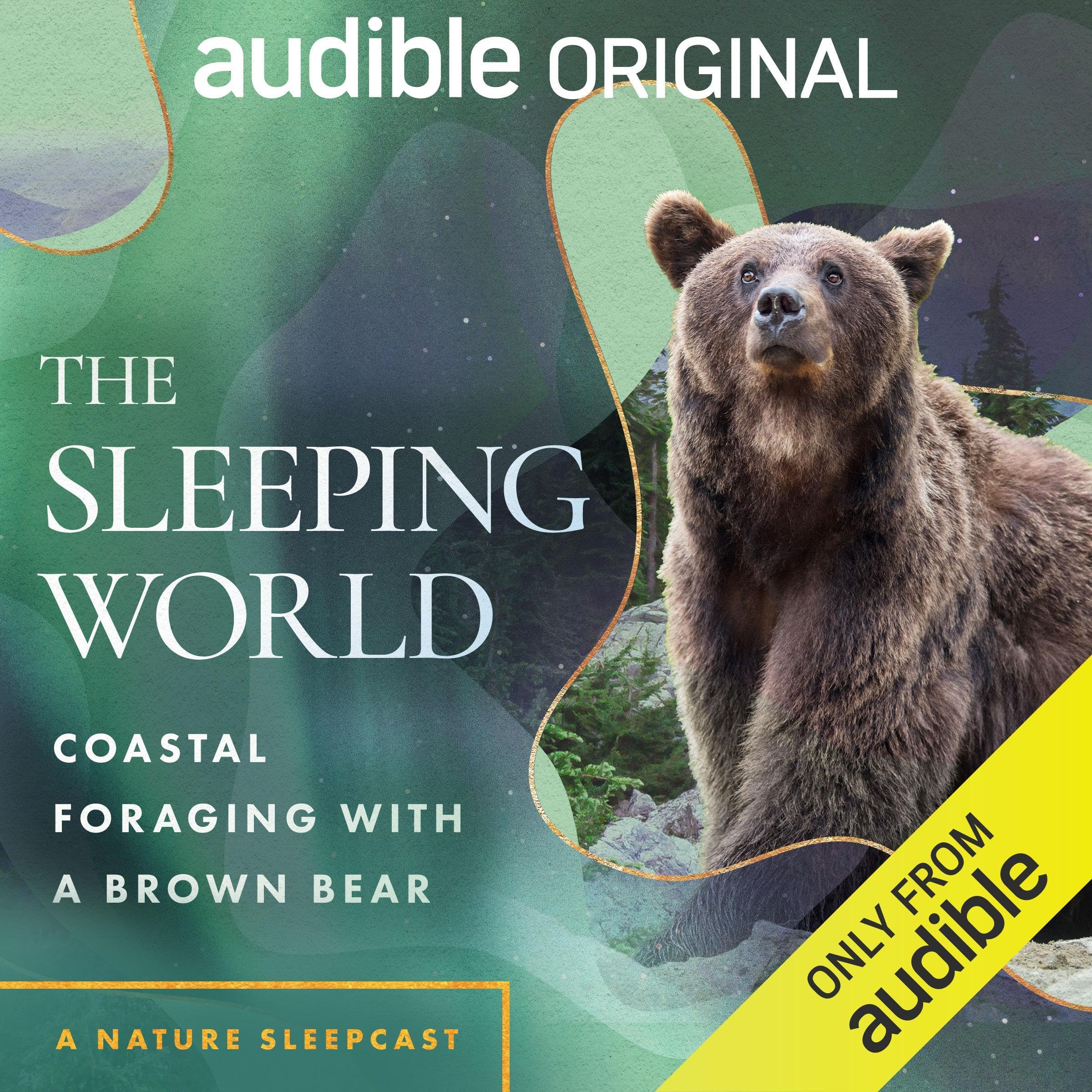 Cover art for The Sleeping World: Coastal Foraging with a Brown Bear