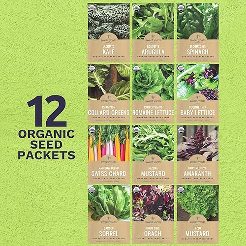 Vista 2 de Paquete variado de semillas orgánicas de verduras saludables, 12 paquetes individuales, temporada 2026, rúcula, col rizada, acelgas, espinacas