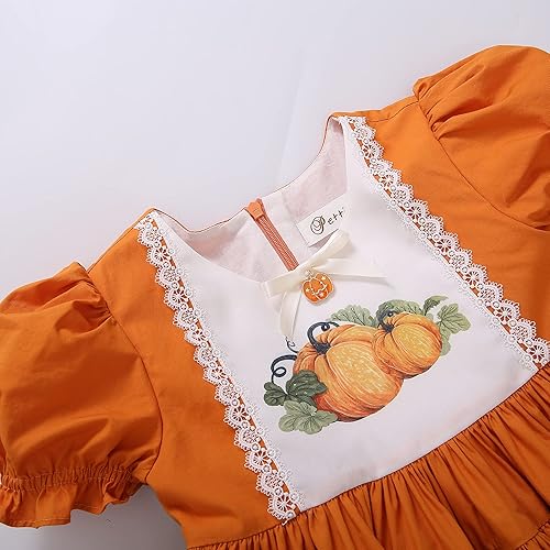 Pettigirl Girl Thanksgiving Day Pumpkin Pattern Orange Ruffle Clothing Kid Toddler Vintage Lovely Party Holiday Dresses(Orange,10 Years)