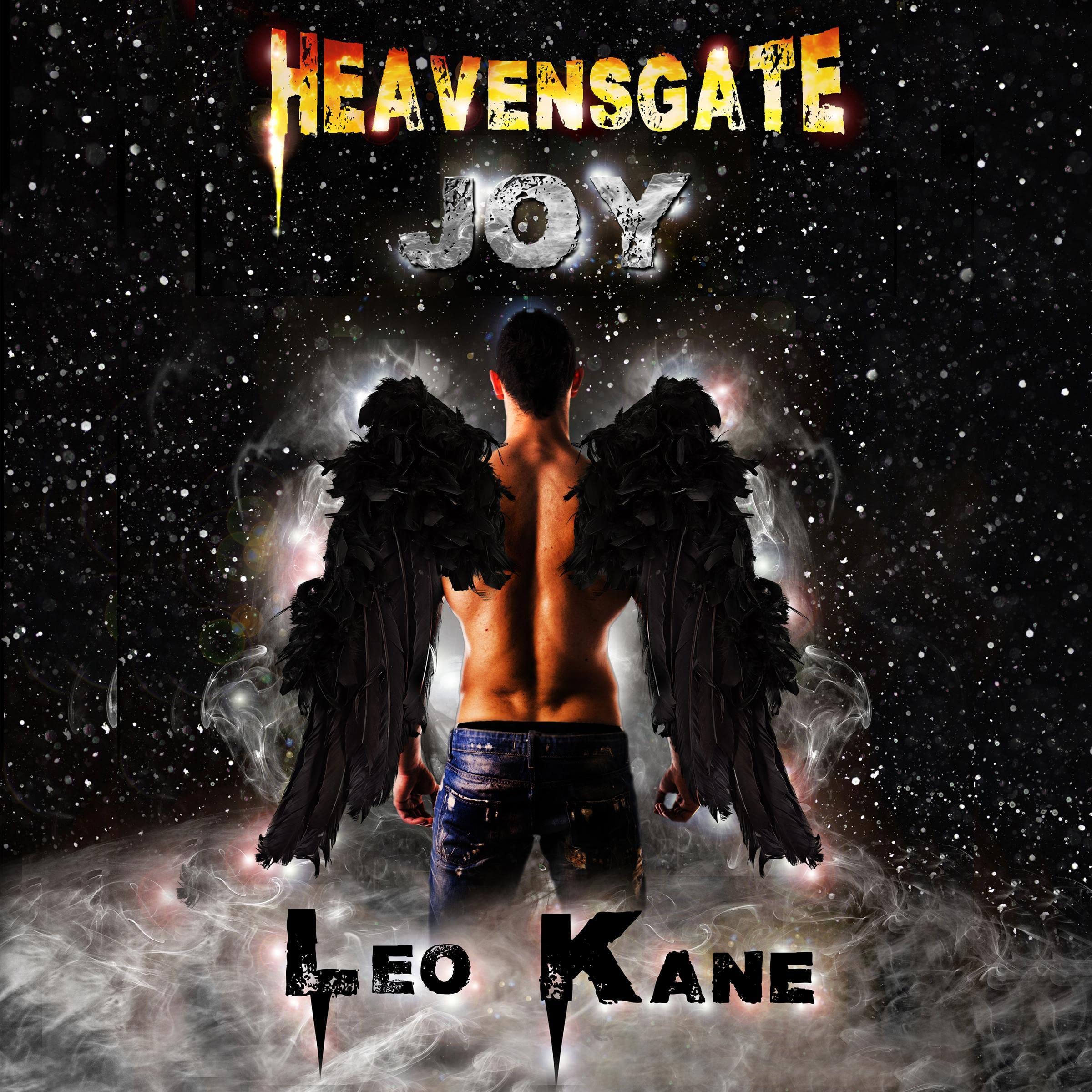 Cover art for Heavensgate Joy