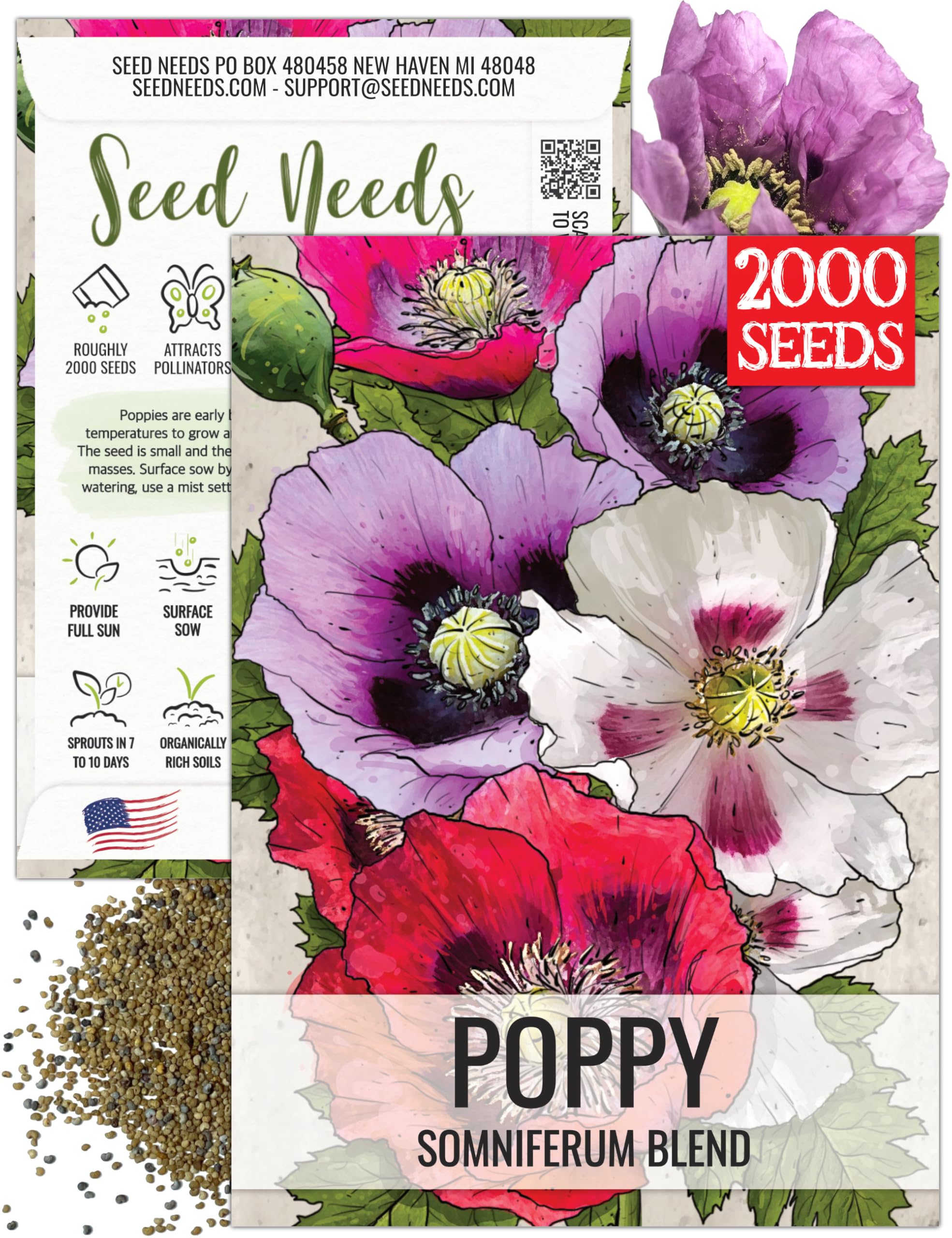 Amazon.com : Seed Needs Mixed Somniferum Poppy Seeds for Planting