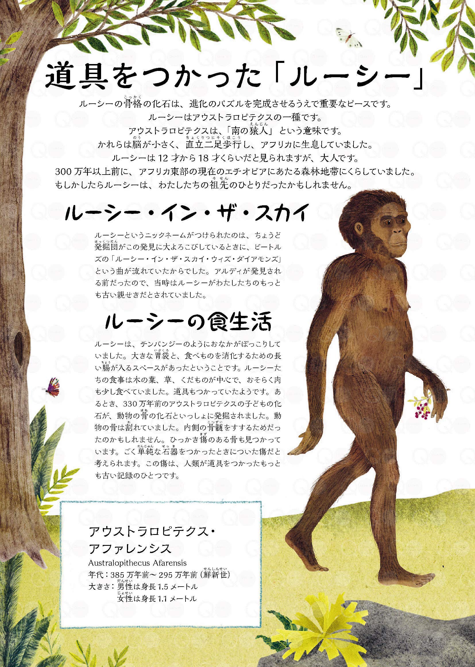 こうしてヒトになった 人類のおどろくべき進化の旅 マイケル ブライト ハンナ ベイリー 堀江 里美 本 通販 Amazon