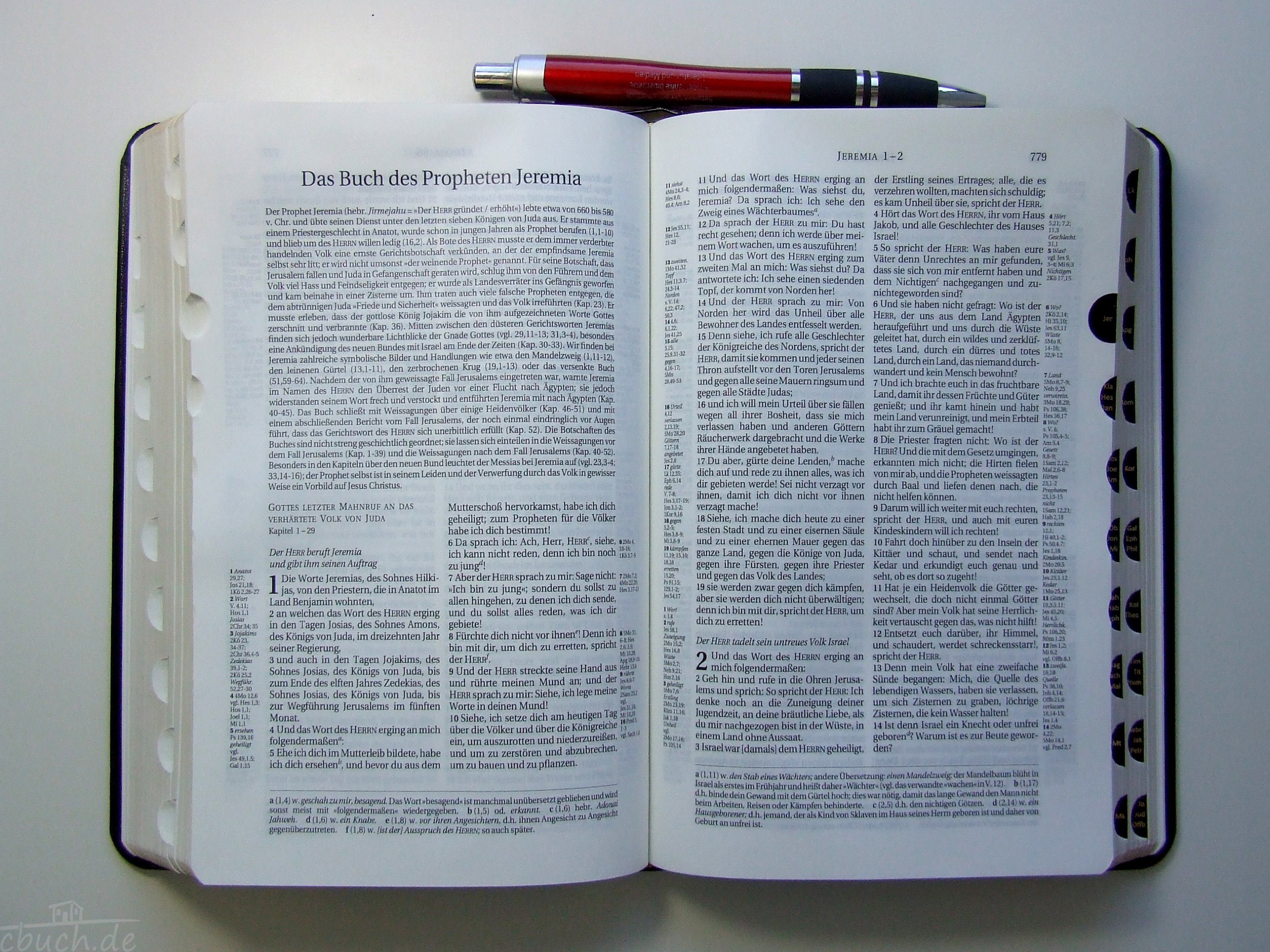 Schlachter 2000 Bibel - Taschenausgabe (Softcover, schwarz, Goldschnitt, Griffregister): Taschenausgabe mit Parallelstellen, Kalbsleder-Einband ... / neue Rechtschreibung / Fadenheftung