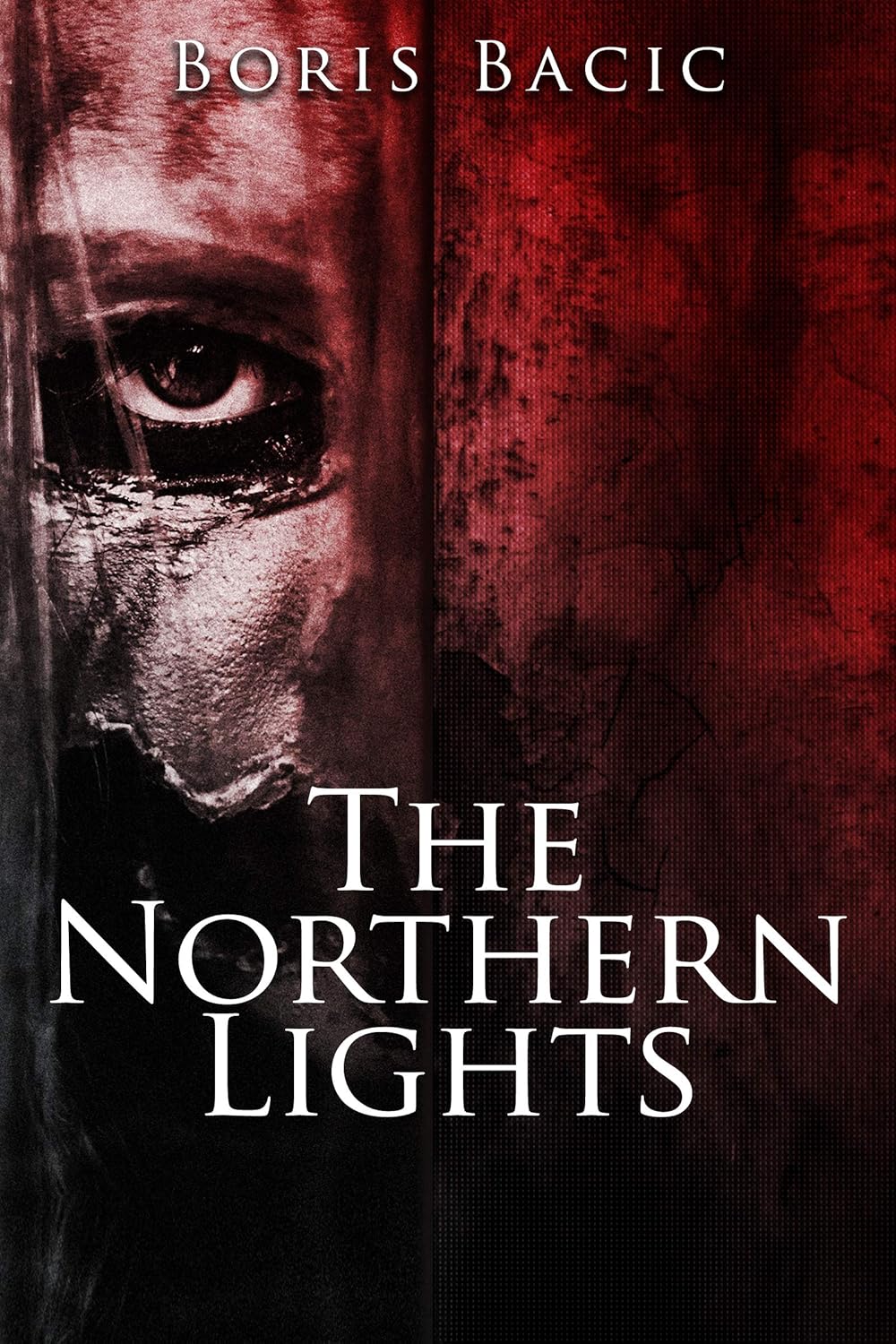 The Northern Lights eBook Bacic, Boris Books