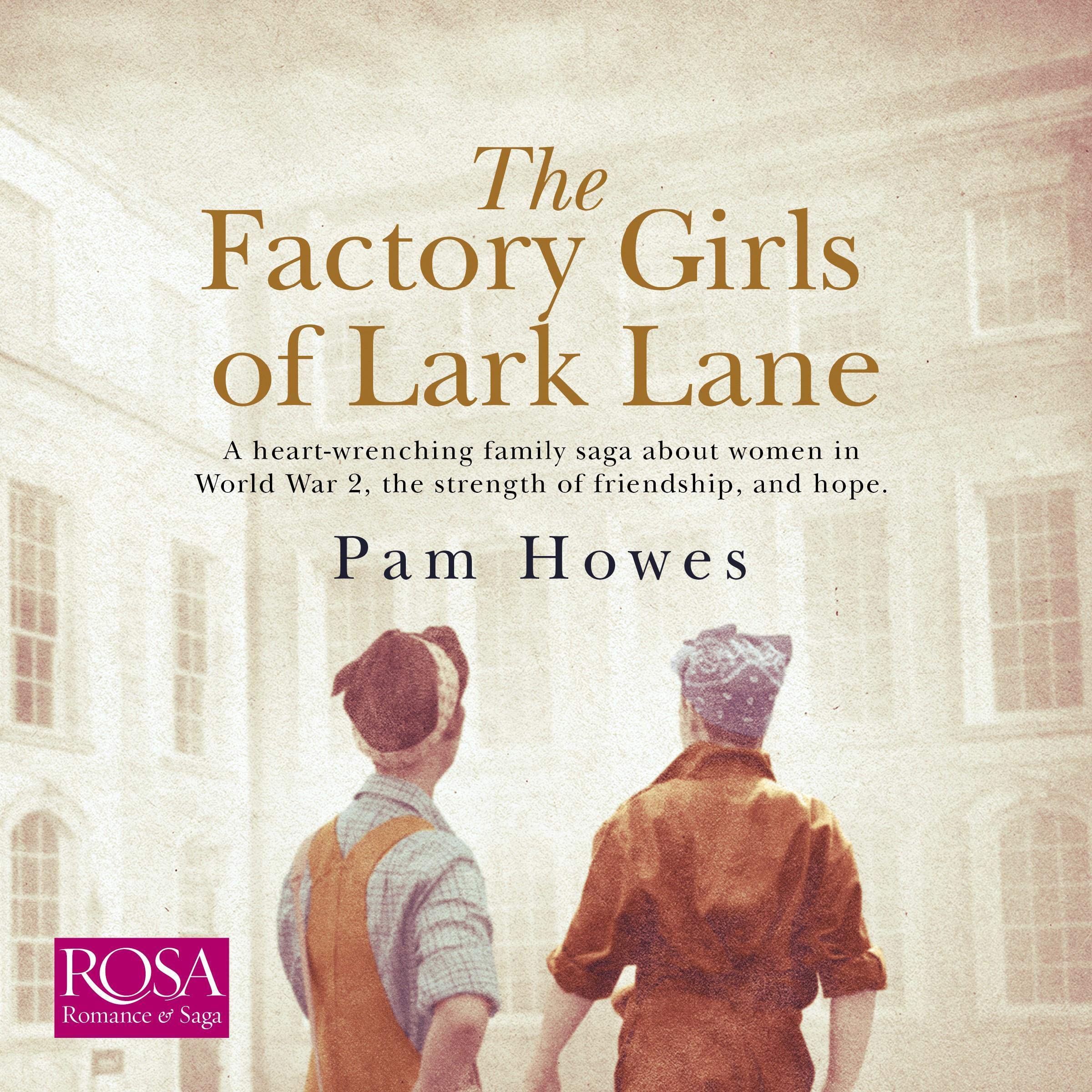 Cover art for The Factory Girls of Lark Lane