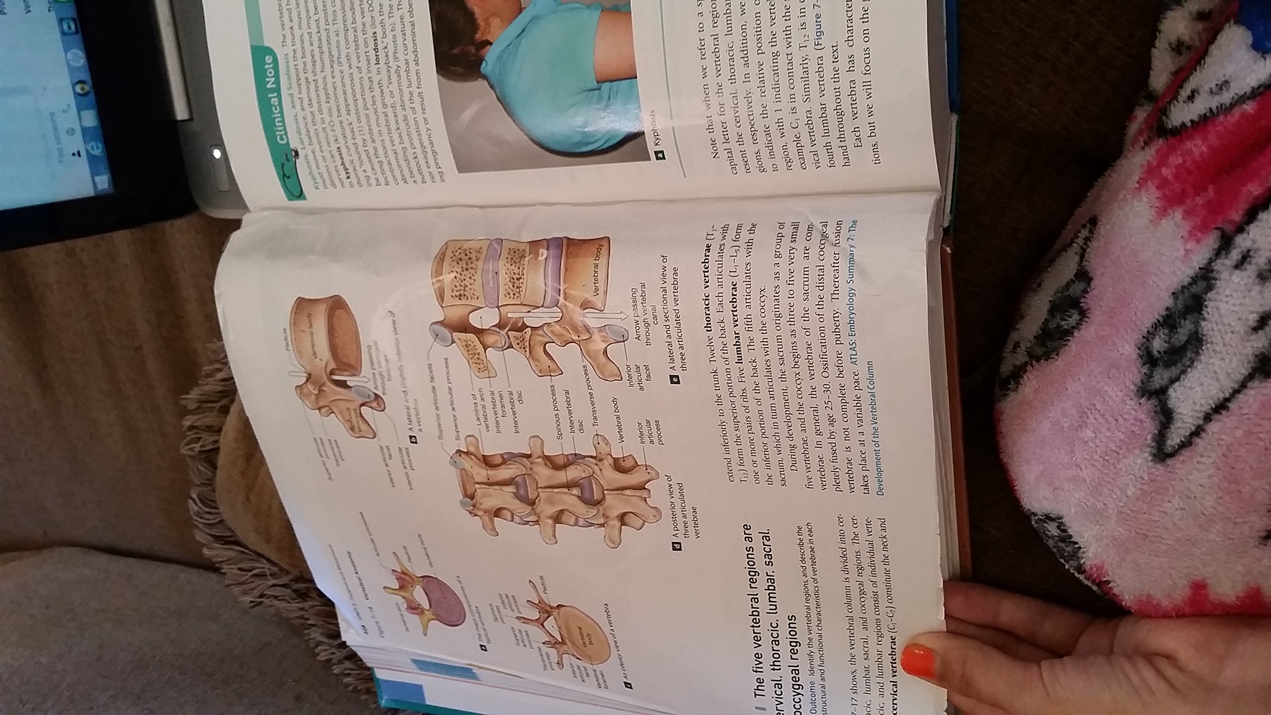 Fundamentals of Anatomy & Physiology (10th Edition) - Image 5