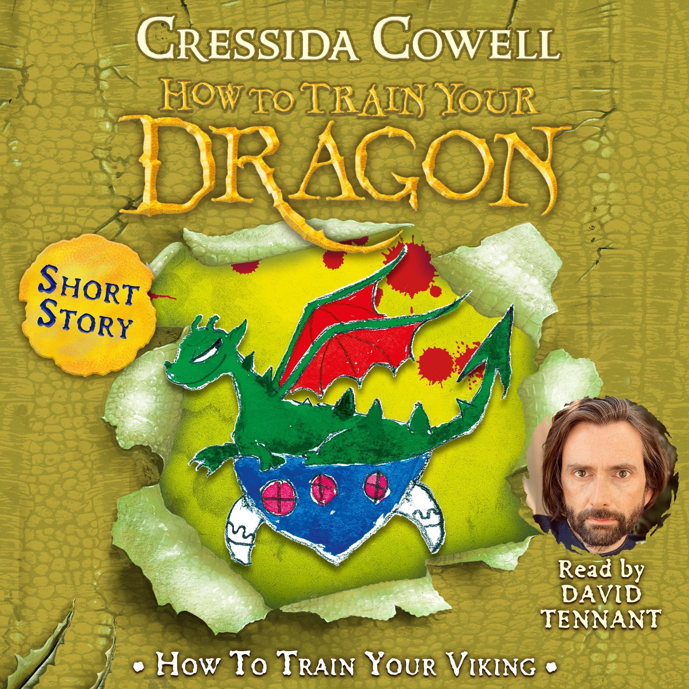 Cover art for How to Train Your Viking by Toothless the Dragon