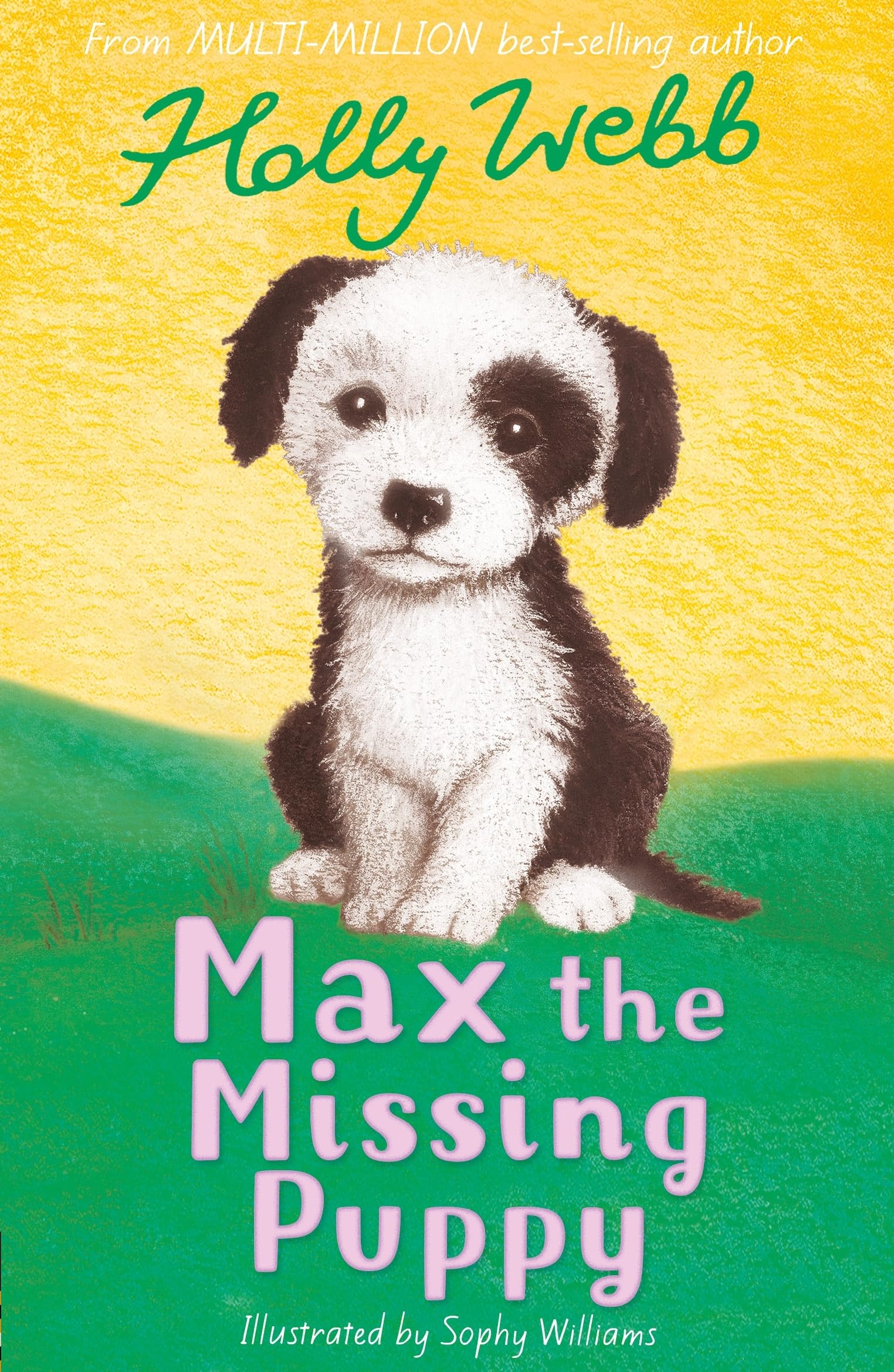 Max the Missing Puppy: 5 (Holly Webb Animal Stories, 5)