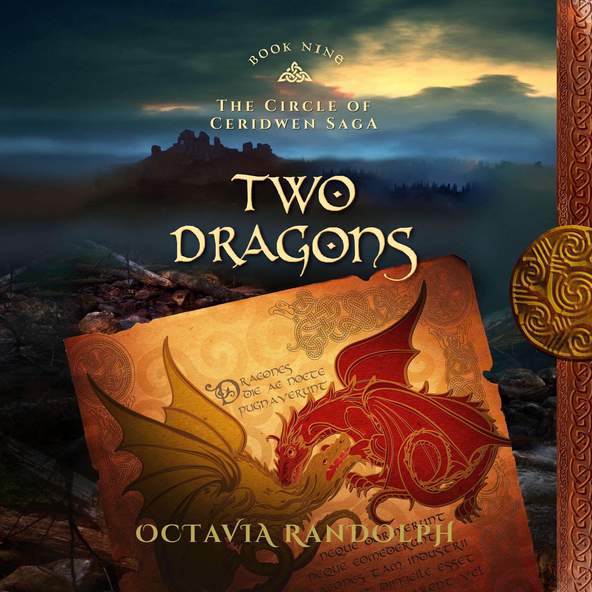 Cover art for Two Dragons