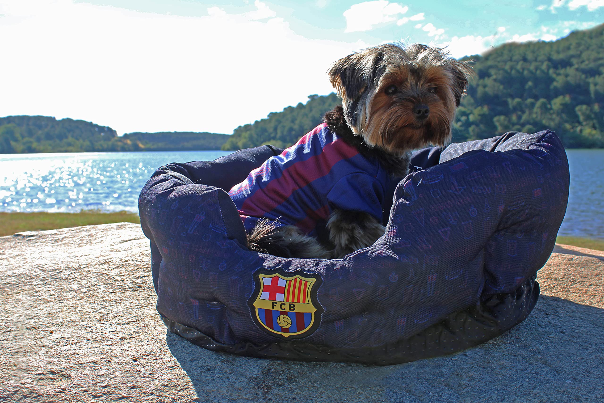 FC BARCELONA - Cama para Mascotas, Perros, Gatos, Conejos, Talla L, 3 Tamaños Disponibles, Forma de Estadio, Cojín Independiente, Producto Oficial (CyP Brands)