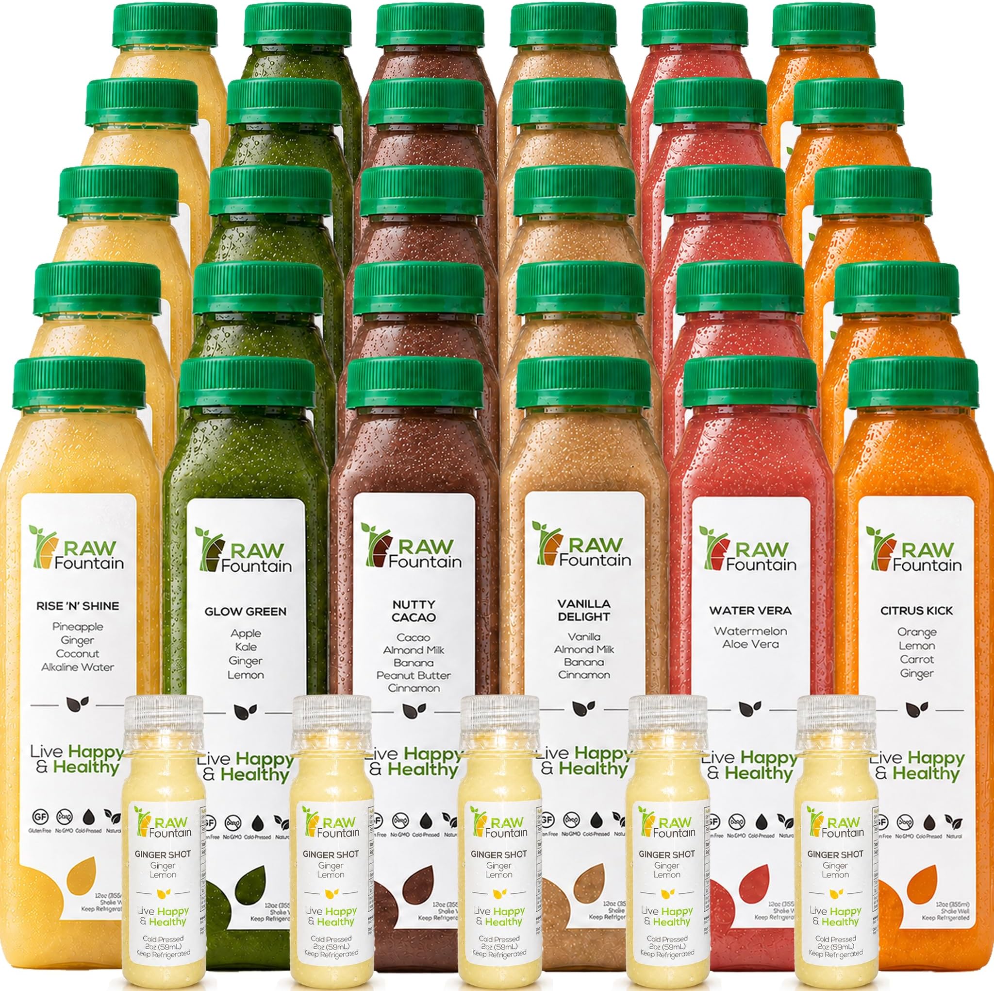 5 Day Protein Juice Cleanse by Raw Fountain, All Natural Raw Detox Cleanse, Cold Pressed Fruits, Vegetables, Vanilla and Chocolate Flavor, Kosher, Vegan, NO Sugar Added, 30 Bottles 12oz, 5 Ginger Shots
