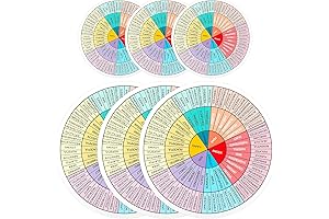 Feelings Wheel Vinyl Sticker: A Guide to Expressing Your Emotions