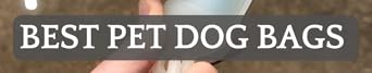 Video Widget Video Title Section