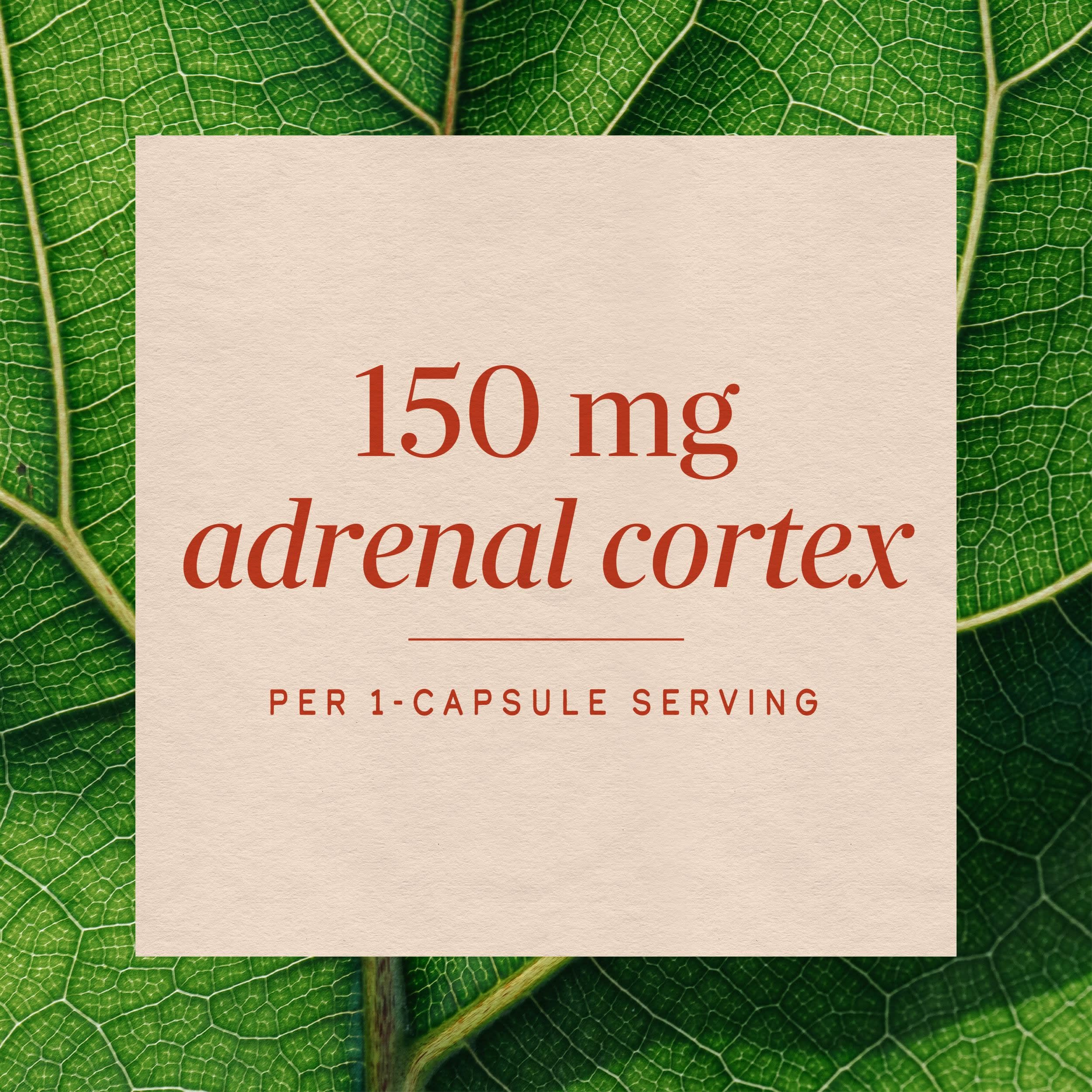 Nature's Way ADRENergize Adrenal Support Glandular Complex*, 50 ct — Amazon image 4