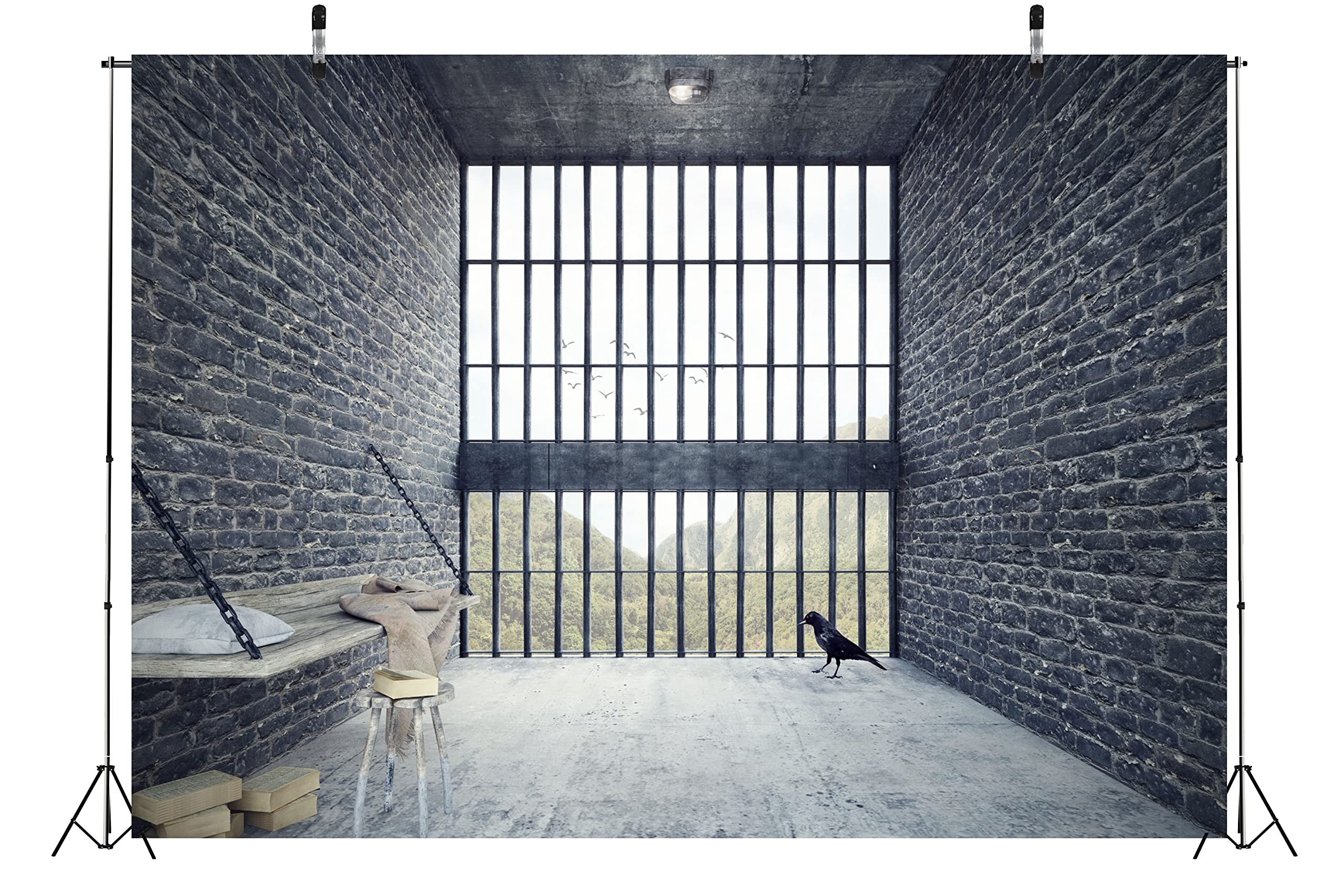 Amazon.com: BELECO 10 x 6 英尺(約3.0 x 2.0 公尺)監獄背景適用於拍攝監獄附落地窗磚牆背景法式窗戶鳥類山景生日攝影監獄 主題派對拍照道具: