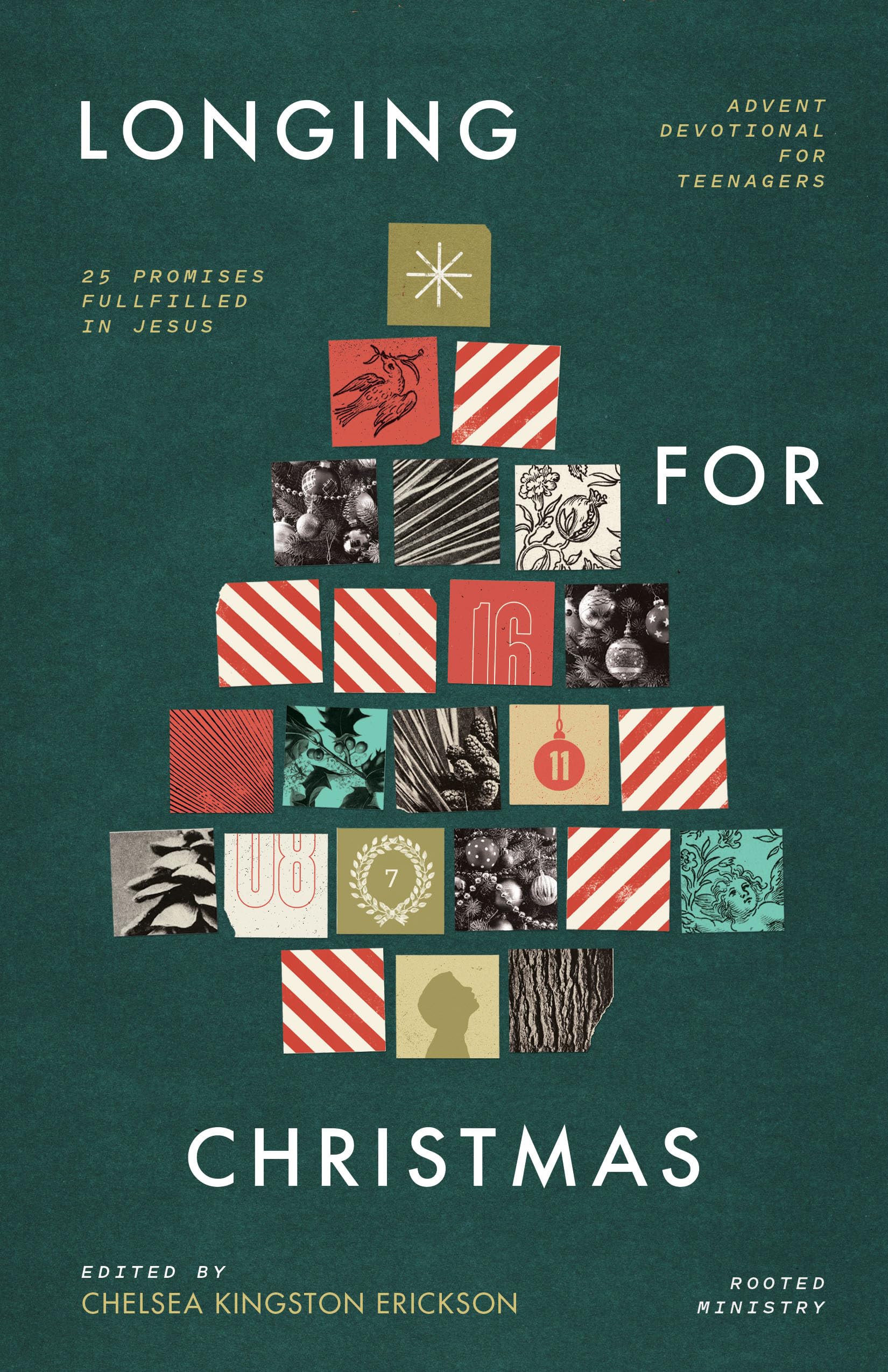 Longing for Christmas: 25 Promises Fulfilled in Jesus, Advent Devotional for Teenagers