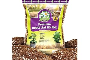 DUSPRO Recycle Fiddle Leaf Fig Potting Soil Mix