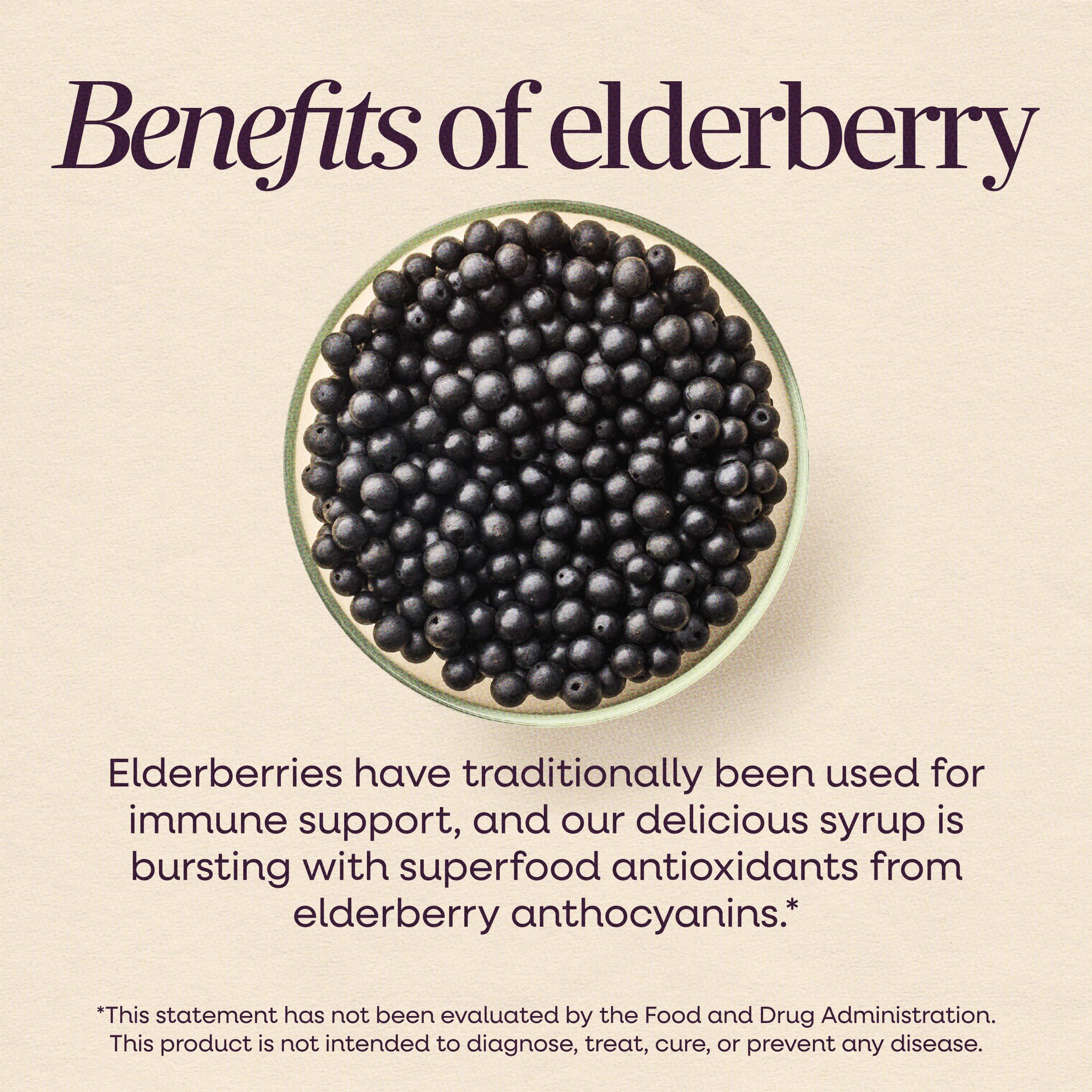 Nature's Way Sambucus Zero Sugar Traditional Elderberry Immune Syrup — Amazon image 5