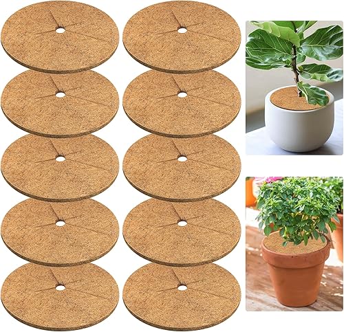 Legigo 10 alfombrillas protectoras de 9 pulgadas de diámetro, fibra de coco para árboles, fibra de coco natural, protección contra malas hierbas