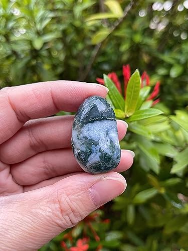 Miniatura 2 de GAF TREASURES Piedras pulidas de ágata musgo al por mayor, piedras preciosas de ágata musgo natural pulidas, cristales curativos de ágata musgo