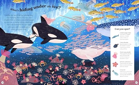 Ocean Explorer: A Search-and-Find Book (Search-and-Find Explorers)