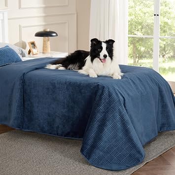 Bedsure Waterproof Bed Cover for Bed and Dogs Quick Drying, 68x82IN | Waterproof Blanket Washable for Large Dogs Couch Sofa Twin Bed Cozy, Lightweight Furniture Protector for Pet Cat, Ash Grey