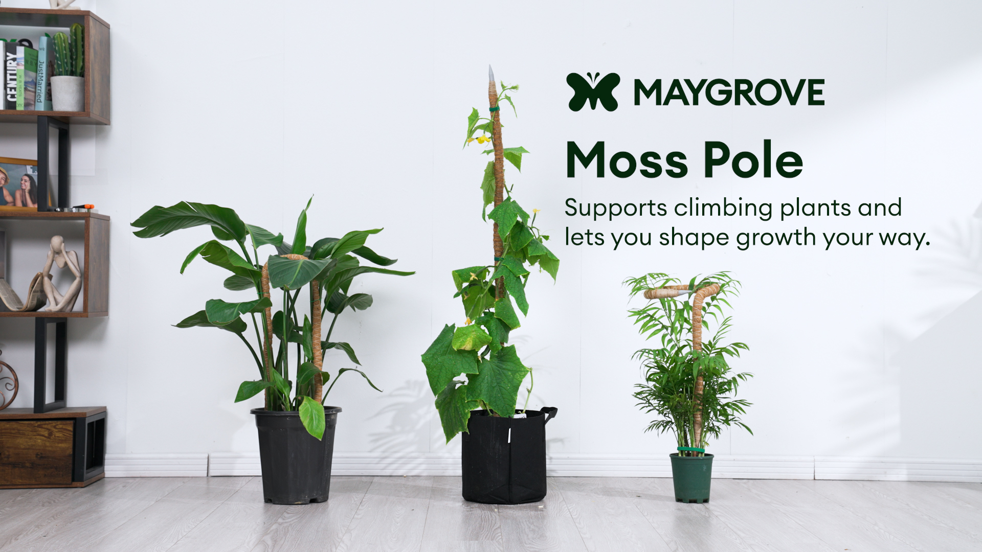 Amazon.com : Maygrove 3-Pack 28” Bendable Moss Pole Monstera Plant