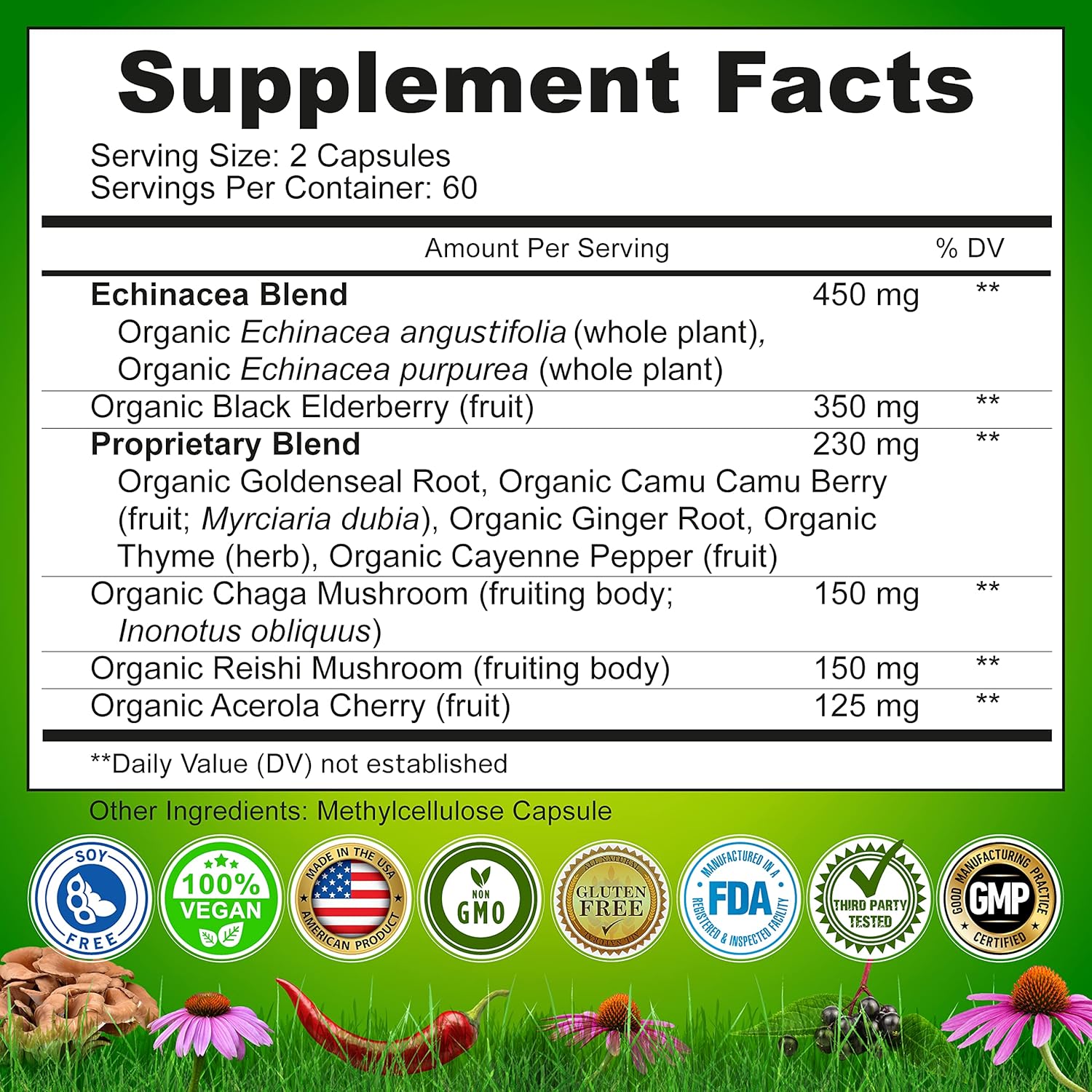 Echinacea Goldenseal Capsules - 10 in 1 Immune Support Supplement - 1455mg - Vegan Echinacea Capsules Supplement Made With Organic Whole Foods - Herbal Immune System Support - 2 Month Supply : Health & Household