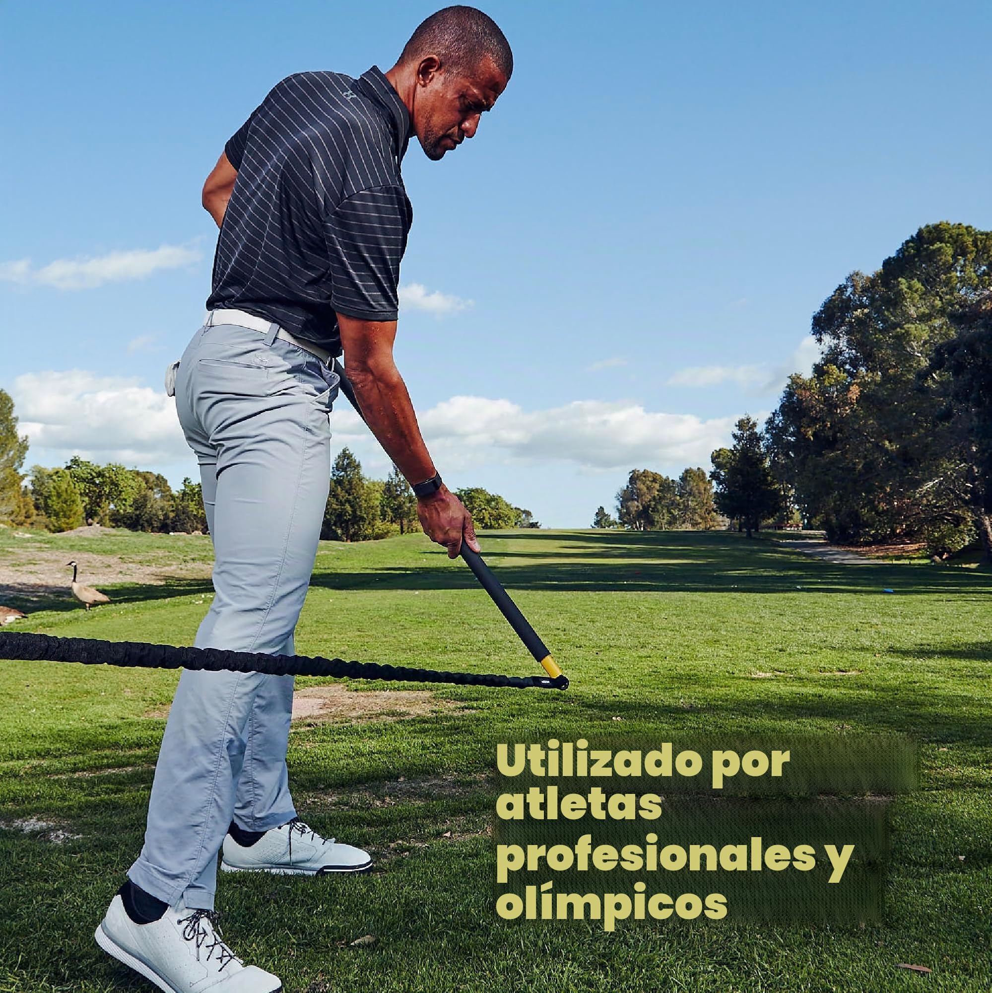 TRX Entrenamiento Sistema de Entrenamiento Rip, SOGA de Alta Resistencia, para un Intenso desafío con el Que trabajarás Todo el Cuerpo