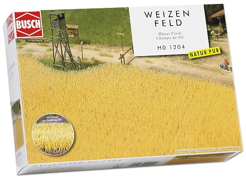 Wheatfield