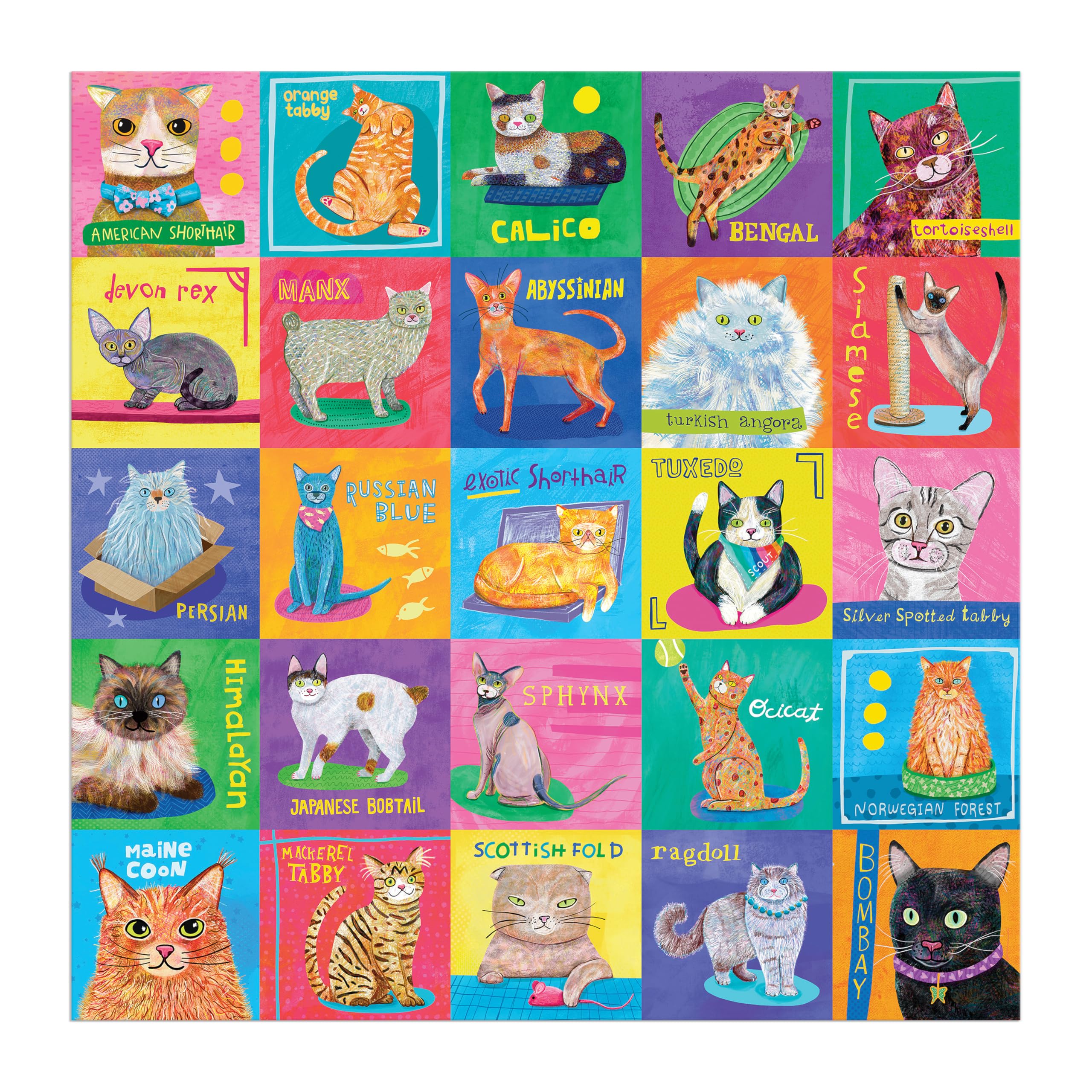 family cats　0507 Amazon.com: Mudpuppy Purr-FECT Portraits! – 500 Piece Family