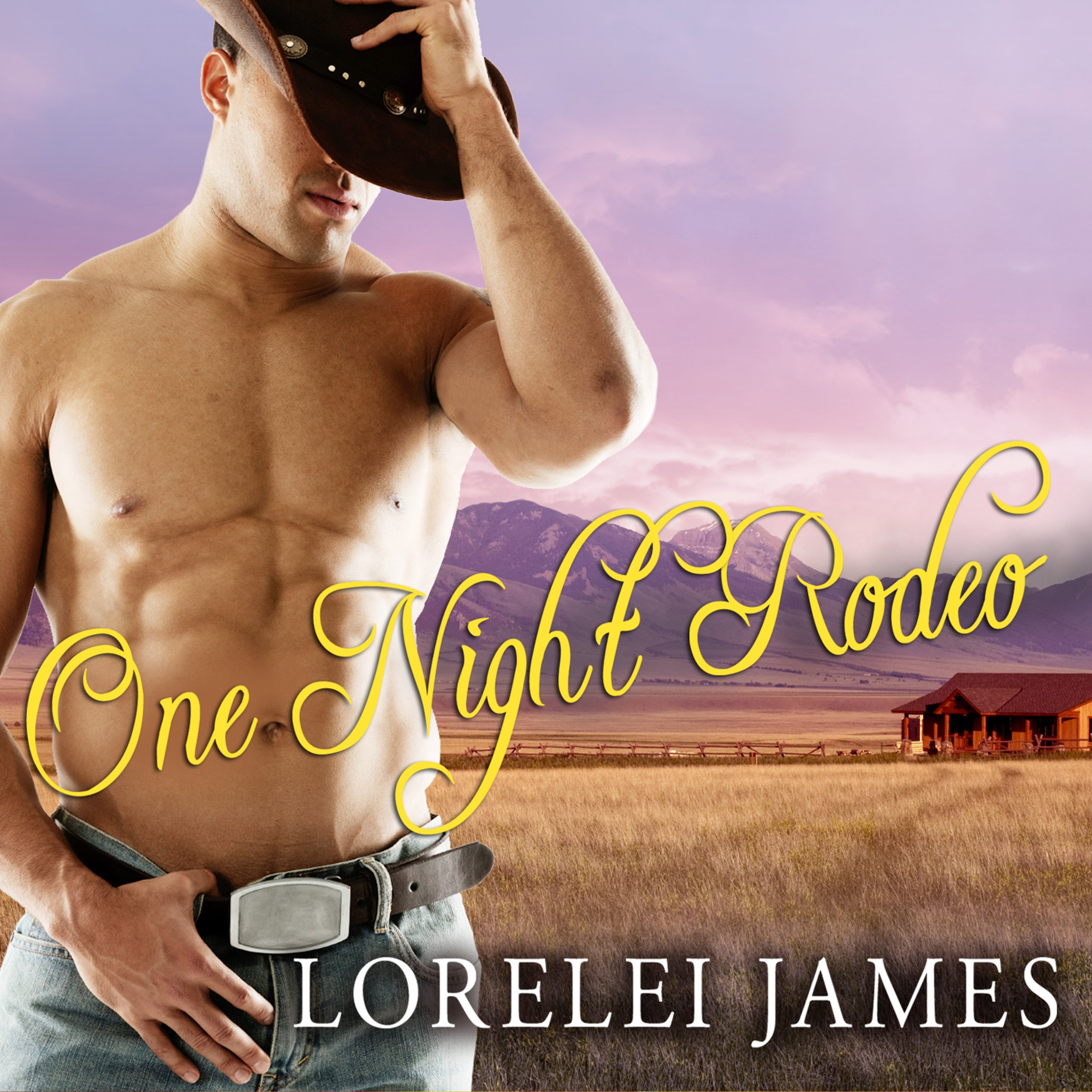 Cover art for One Night Rodeo