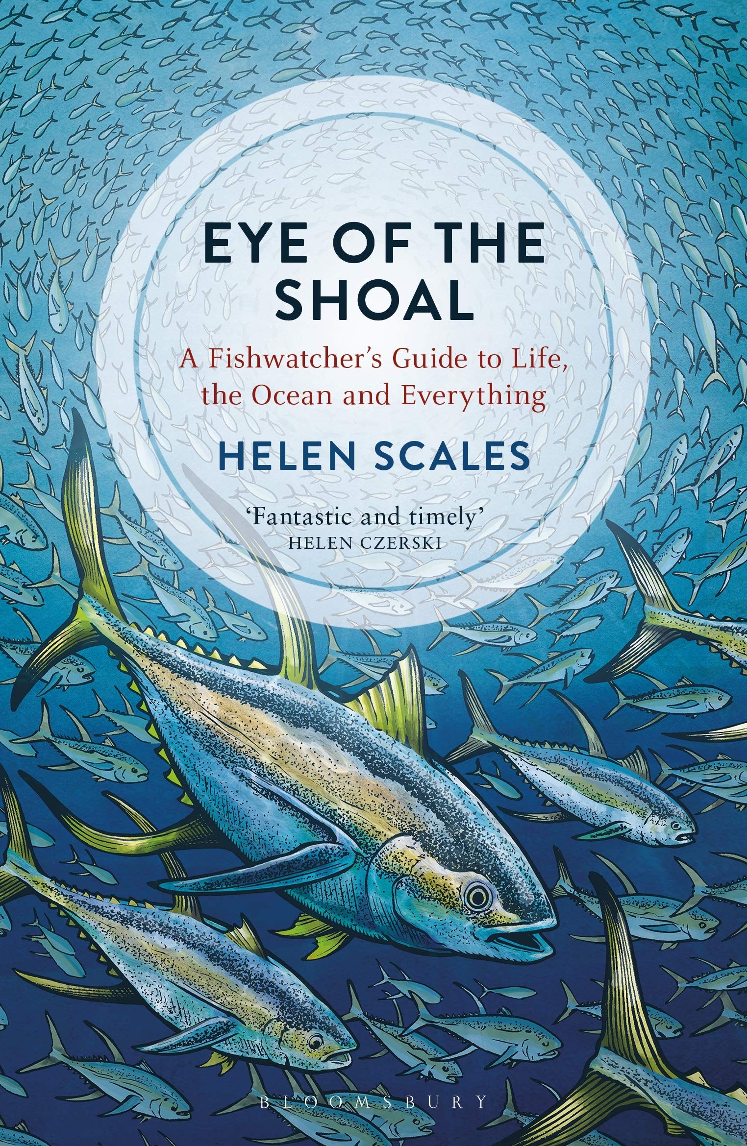 Bloomsbury Eye of the Shoal: A Fishwatcher's Guide to Life, the Ocean and Everything