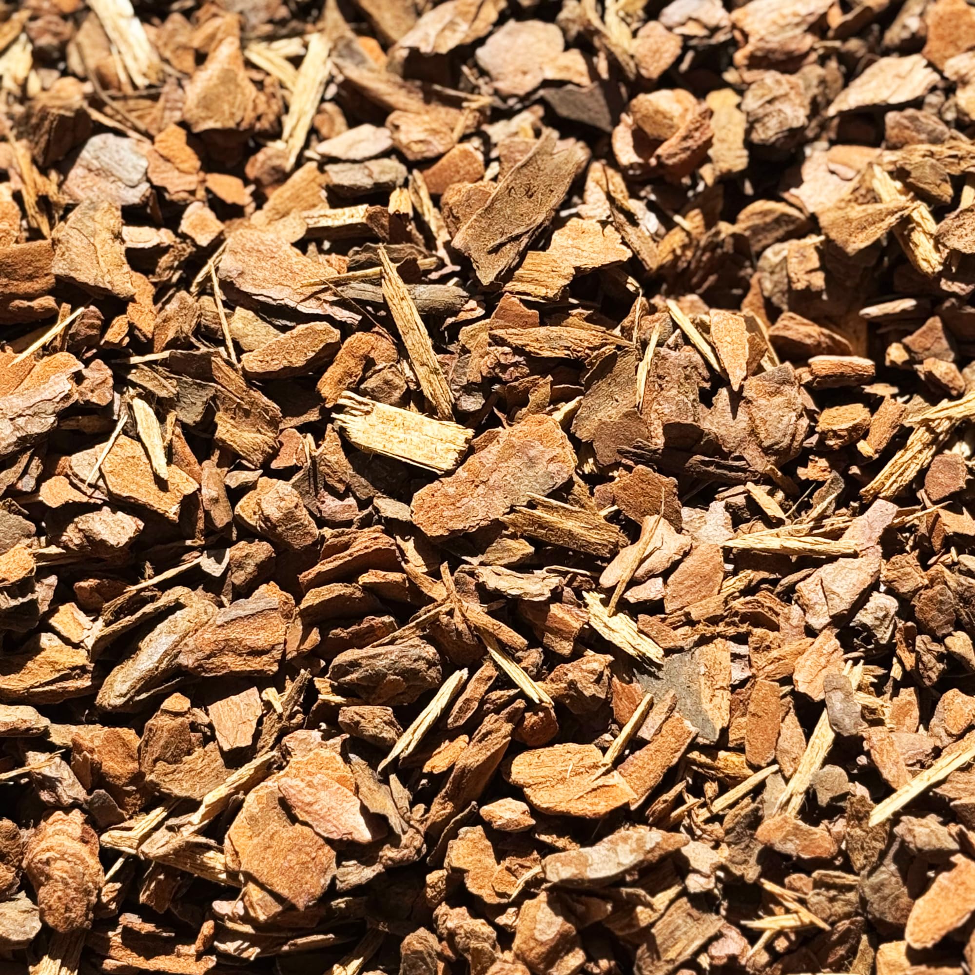 Premium Orchid Care Repotting Bark Soil Compost Mix (2L)