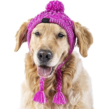 Dog pom pom hat Clearance