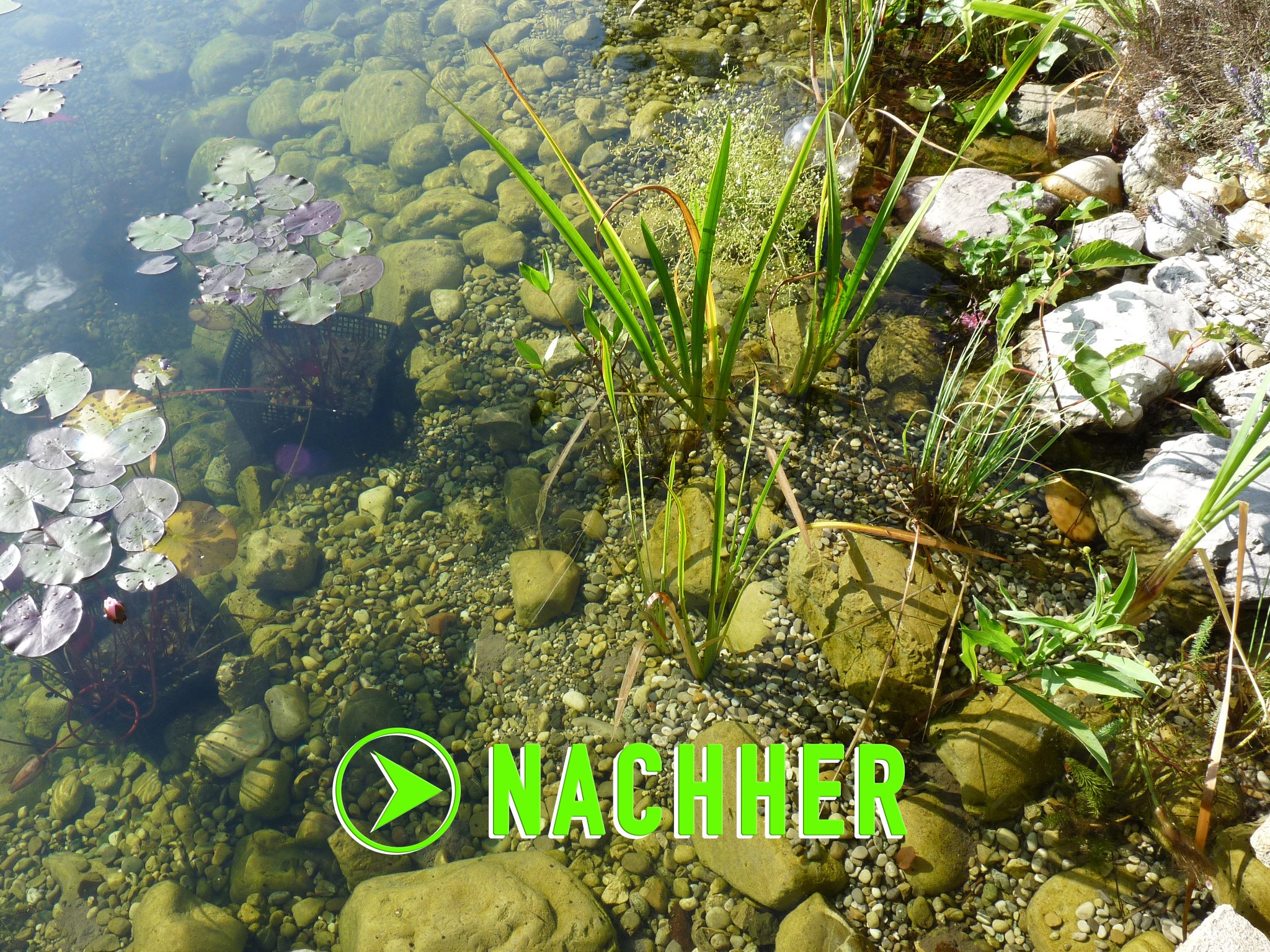 Der Algenenferner für den Teich. Algen und Grünbelag abbau mit Synergieeffekt verbessert die Pumpen- und Filterleistung. Optimaler Oberflächenschutz mit Langzeitwirkung.
