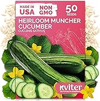 Vista 32 de KVITER 75 semillas de cucamelón para plantar (Melothria Scabra) – Semillas de pepinillo agrio mexicano, pepino de pepinillo, mini sandía mexicana