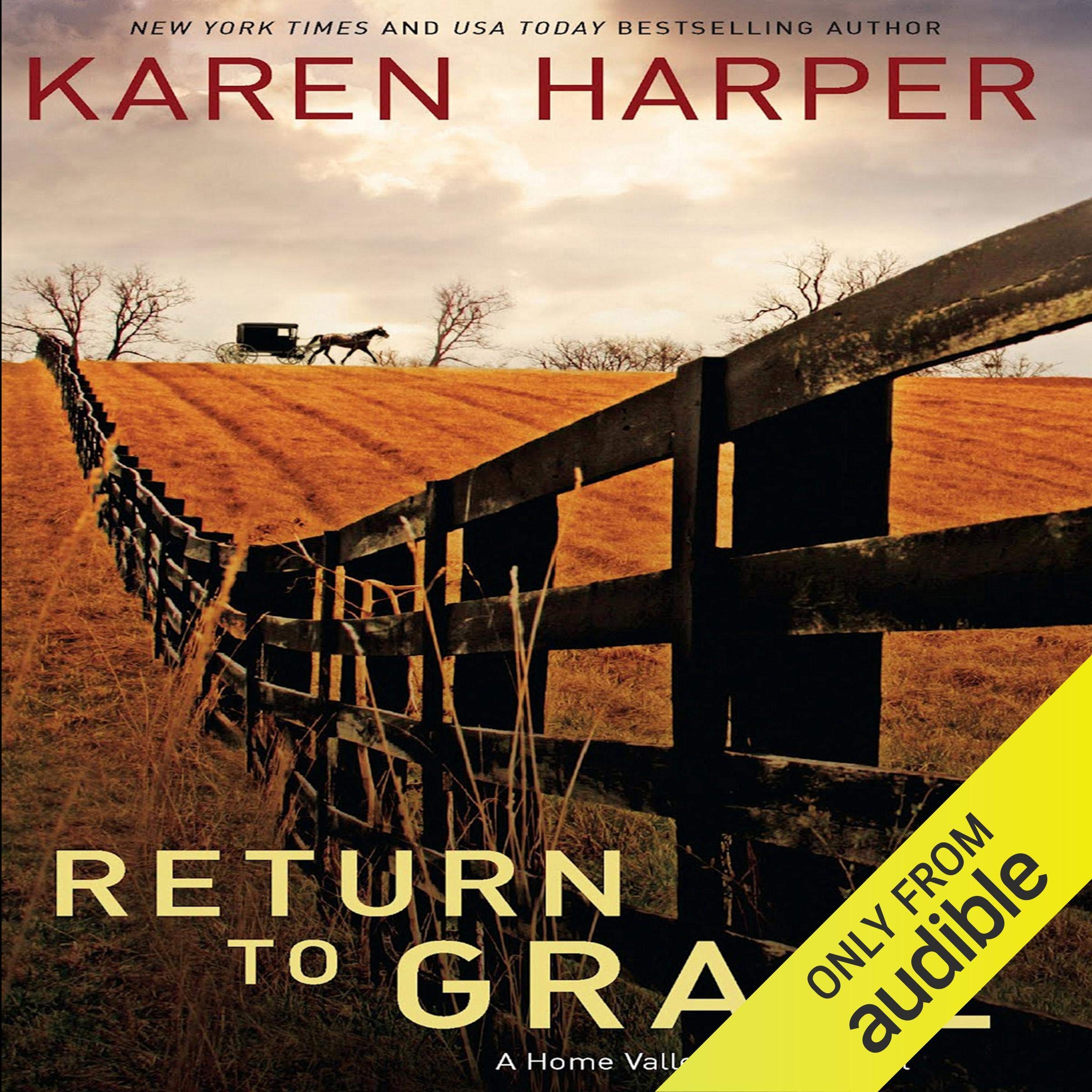 Cover art for Return to Grace